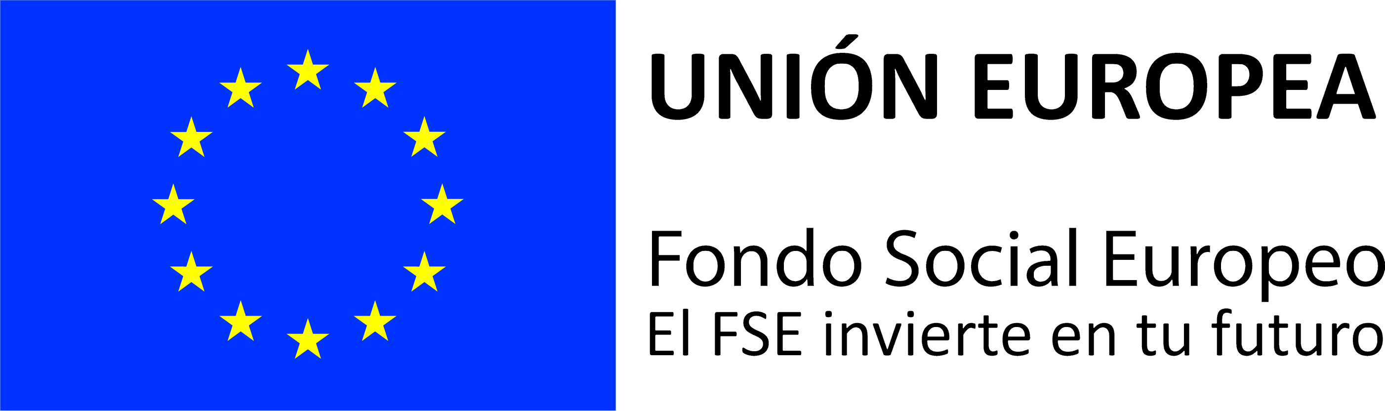 5. Logotipo FSE_0 (1)ok